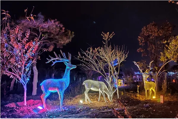 成都照明亮化国产亚洲精品岁国产精麻豆制作安装